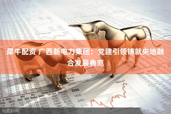 犀牛配资 广西新电力集团：党建引领铸就央地融合发展典范